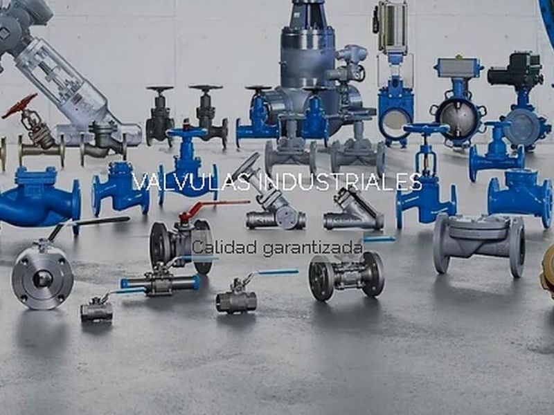 VALVULAS INDUSTRIALES MÉXICO