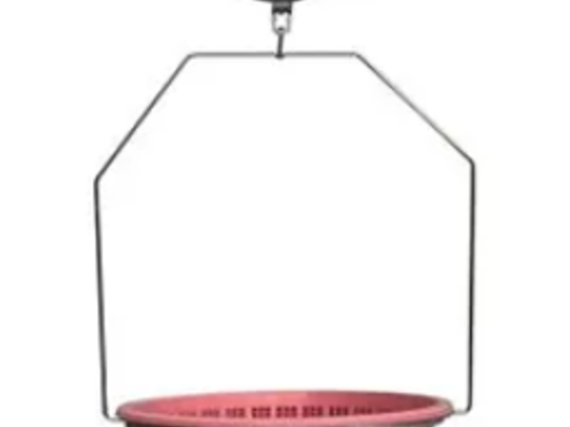 Báscula Reloj 20 kg Morelos