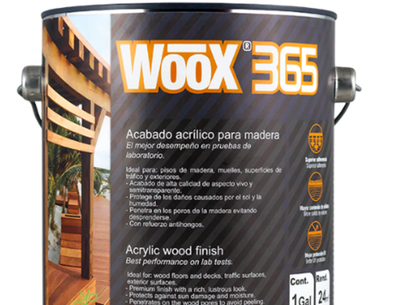 Pintura acrílica 365 para madera México