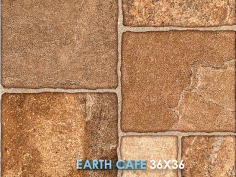 EARTH CAFE Mexico