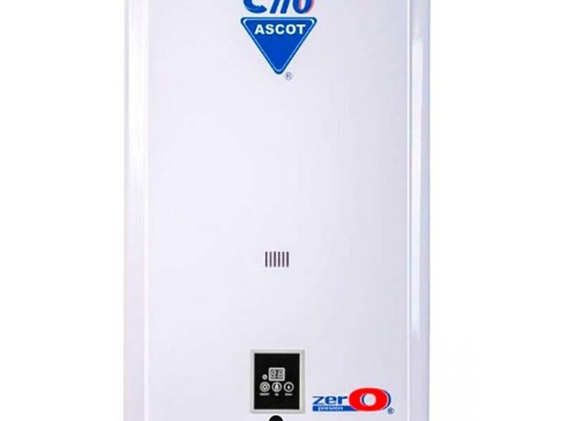  Calentador Paso Modulante México