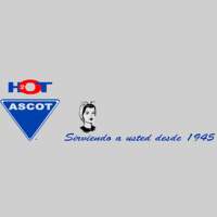 Calentadores inteligentes Ascot