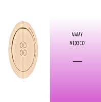 Amay México