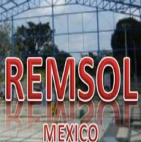 Remsol
