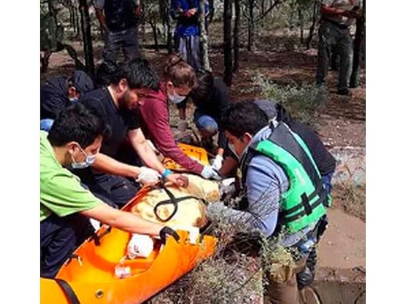 Traslado de terapia intensiva México