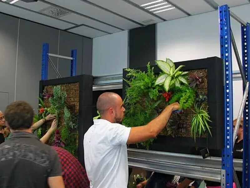 Diseño de jardín vertical Monterrey México