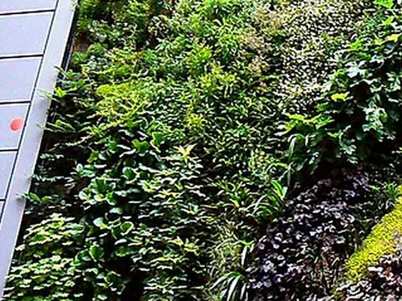 Diseño y planificación jardines Monterrey  