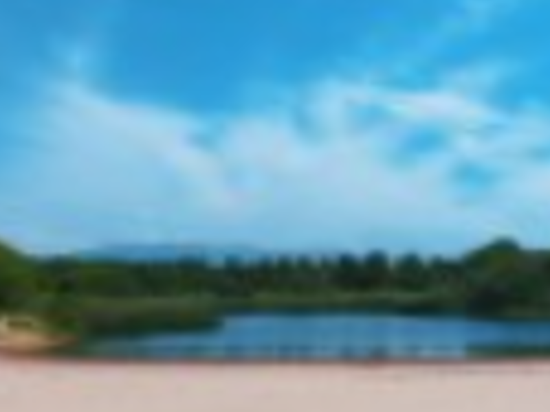 Lote Venta LC Puerto Escondido
