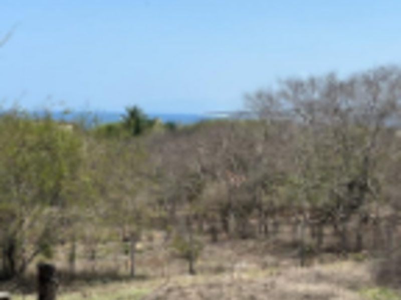 Lote Venta LP Puerto Escondido