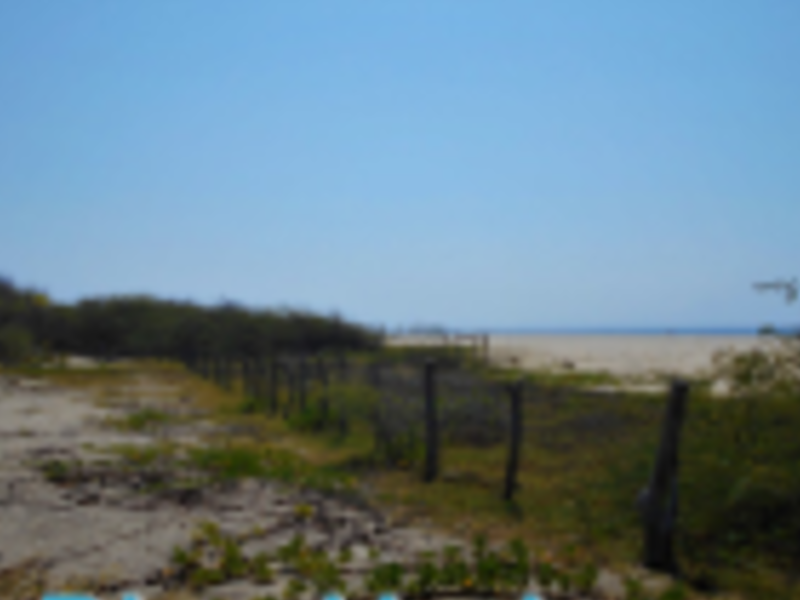 Lote Venta PS Puerto Escondido