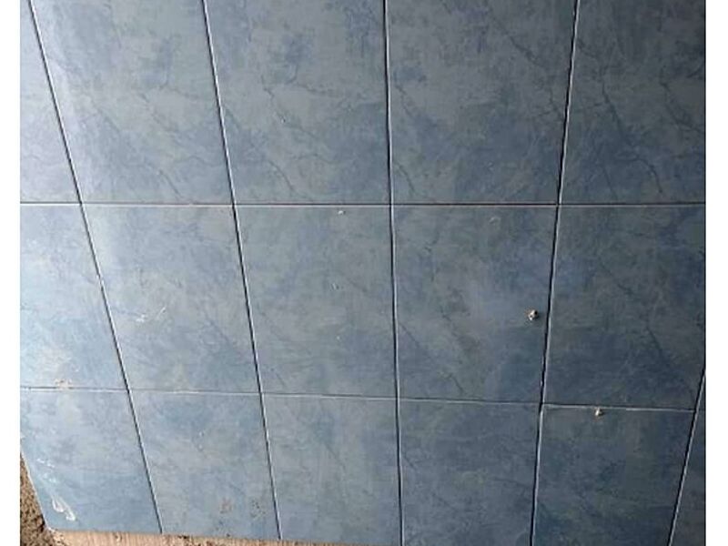 Azulejo azul Cuautla
