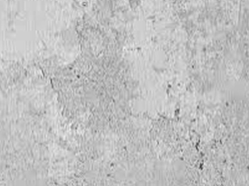 Concreto Linea