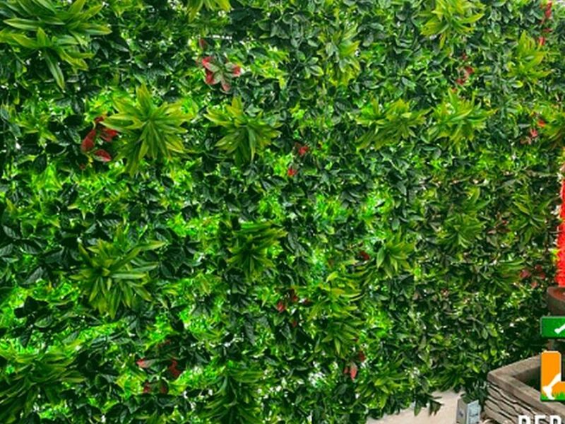 MUROS VERDES EN CDMX