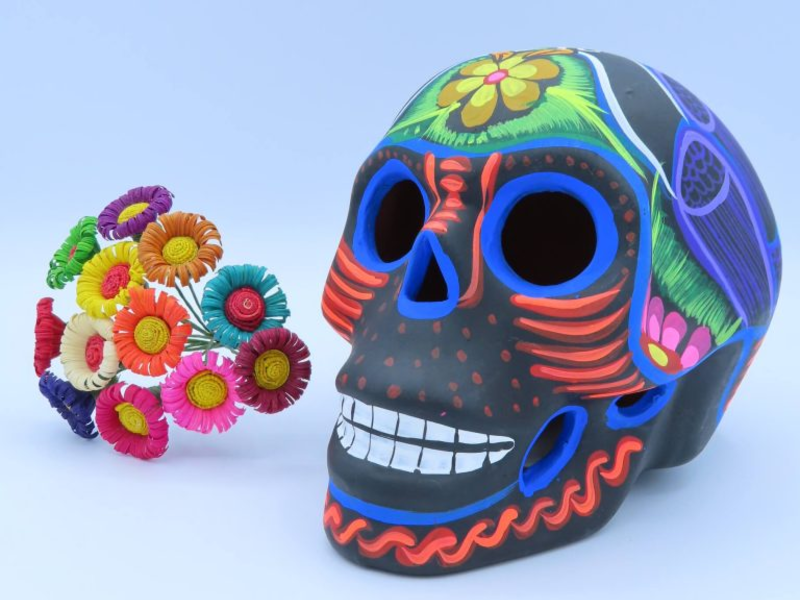 Calavera Mexicana Negro y Multicolor