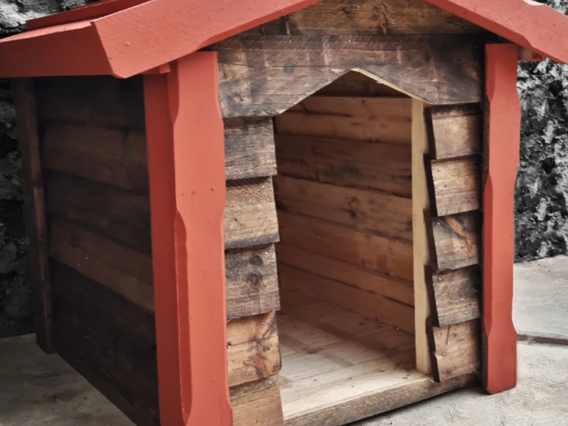 Casa Estándar 100 cm. México