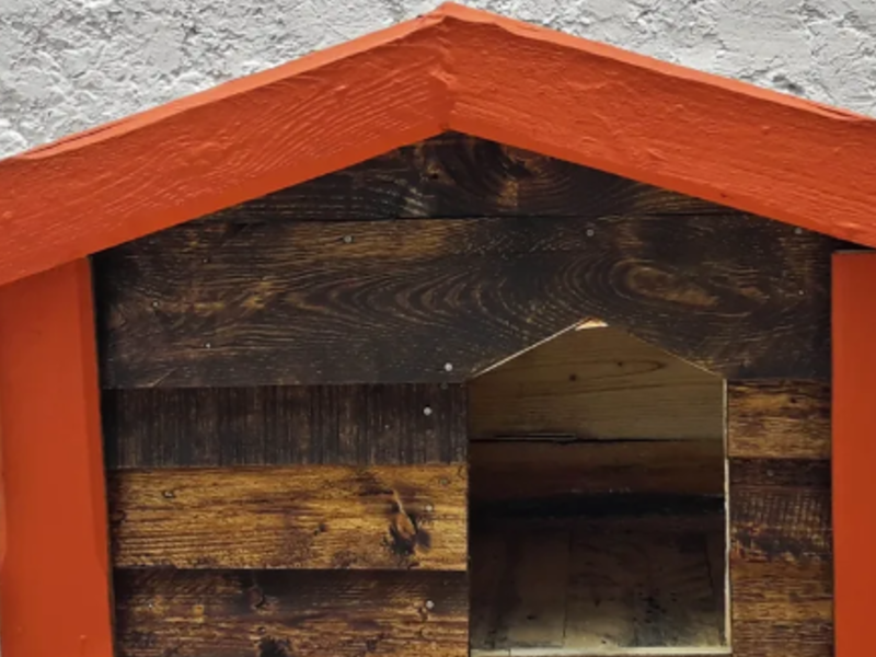 Casa chica 80cm México