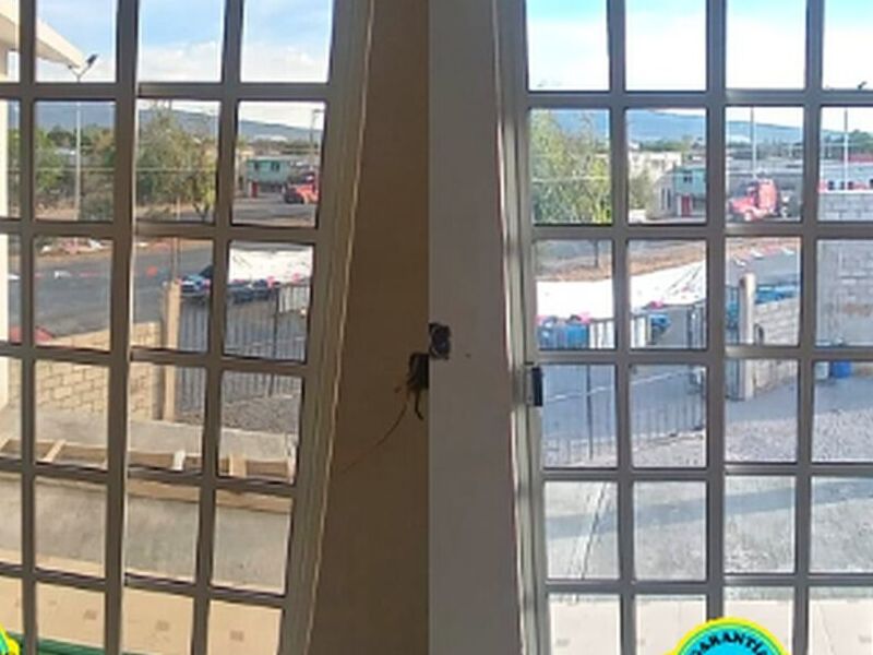 VENTANA CUADRICULADA