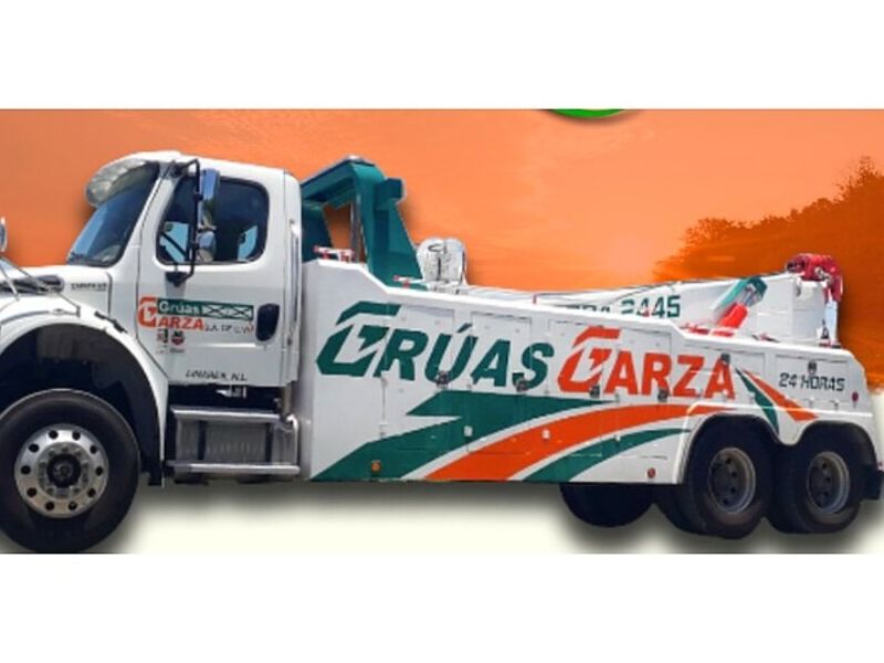 Grúa 29 MEXICO