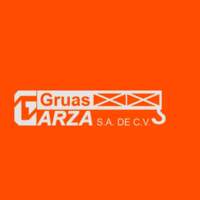 Gruas Garza SA