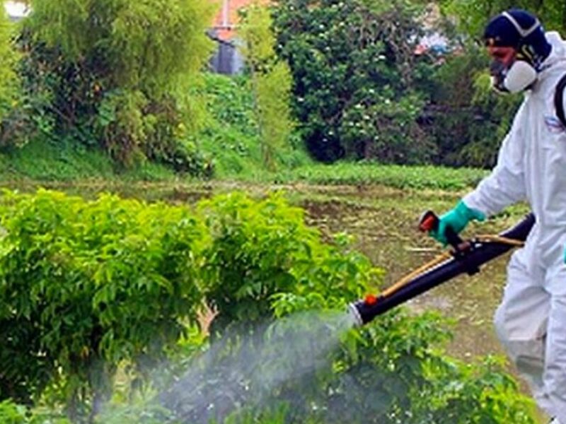 Fumigación Jardines México