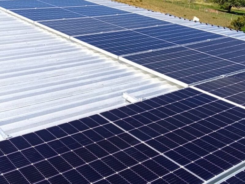 Paneles Solares Guadalajara 