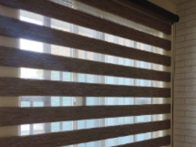 Cortina Horizontal Nuevo Leon 