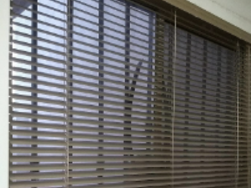 Crotinas motorizadas Nuevo Leon 