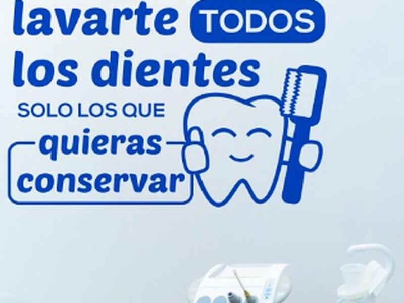 Vinil Lavarte Dientes Veracruz