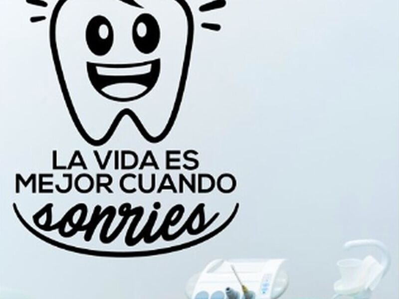 Vinil Sonries Veracruz