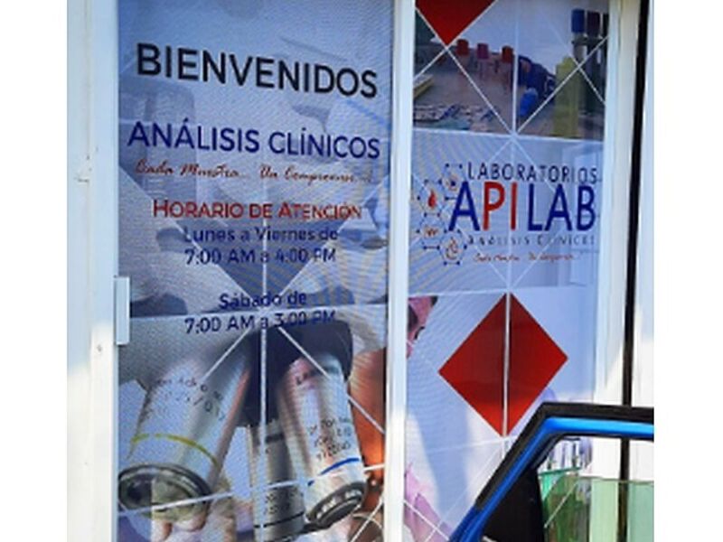 Vinilo Microperforado Veracruz