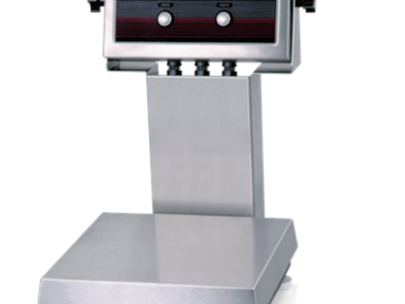 Bascula IQ plus Nuevo Leon