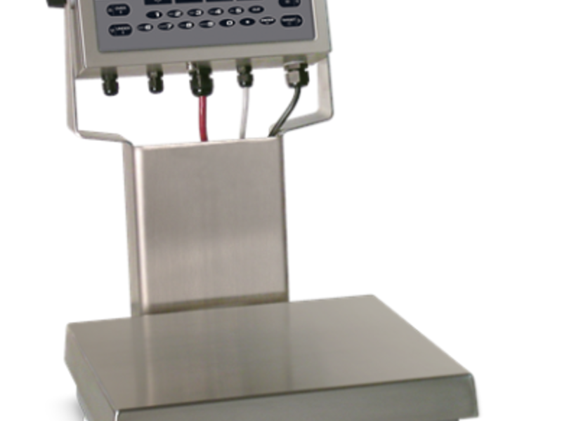 Bascula CW-90 Controladora Nuevo Leon