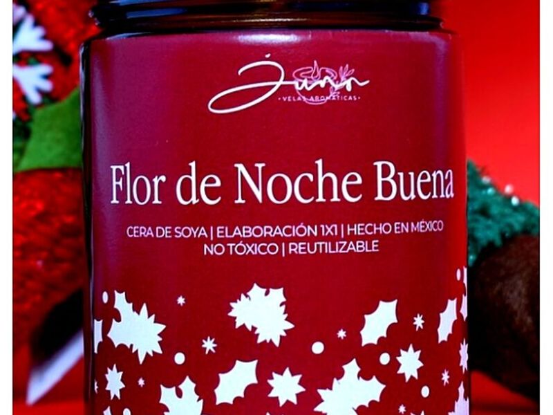 Vela Flor Noche Buena México
