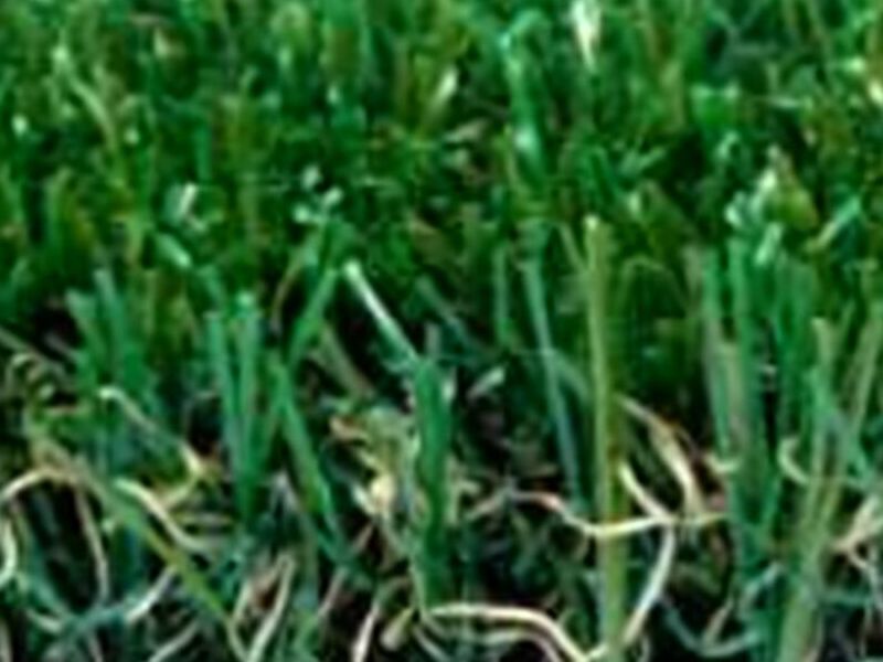 Césped artificial deporte Sinaloa 