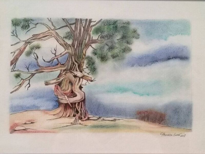 Cuadro Decorativo Árbol Cancún