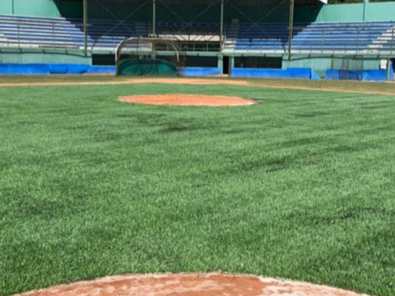  Césped Sintético Béisbol MEXICO