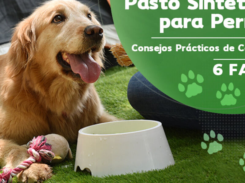 Pasto sintético mascotas MEXICO