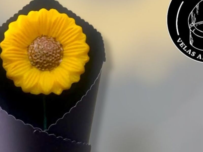 Vela Girasol México
