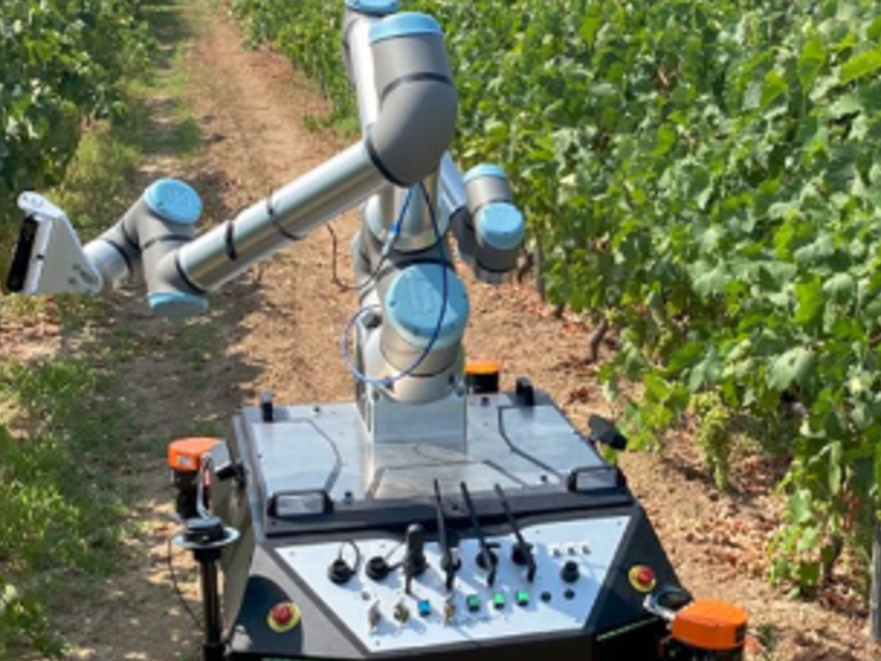 Implementación robots agricultura méxico