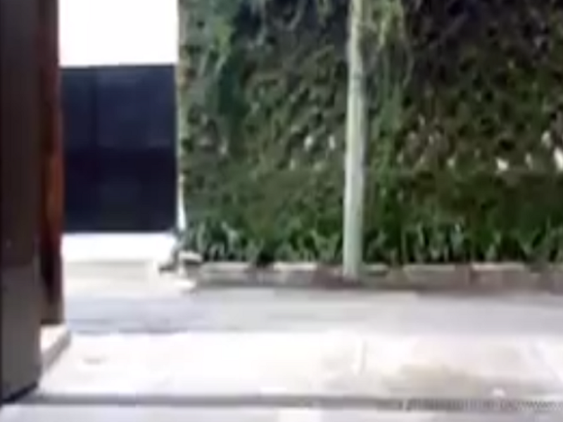 Puerta automatica doble