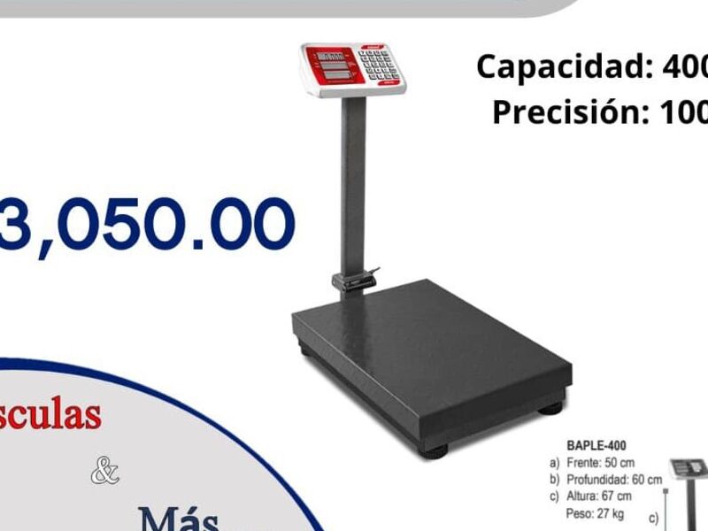 Báscula Plataforma Plegable Mexico