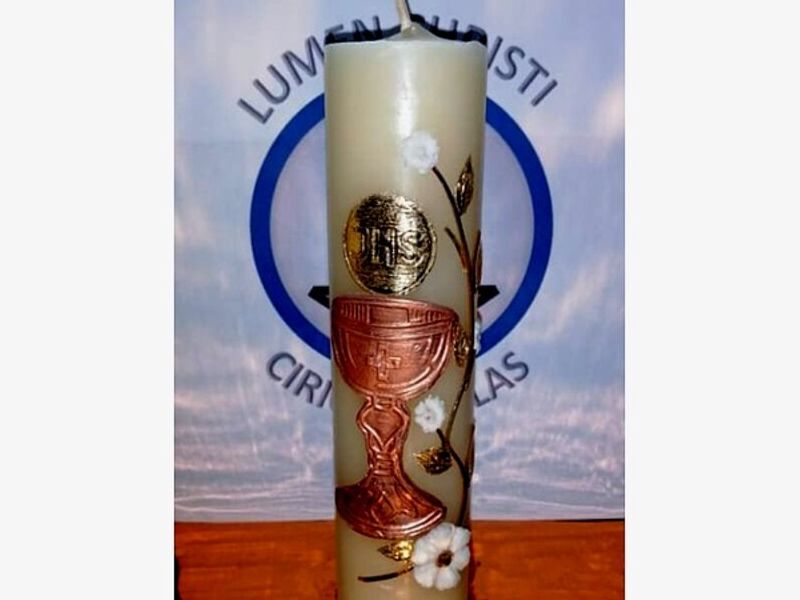 Cirio copa dorada Mexico