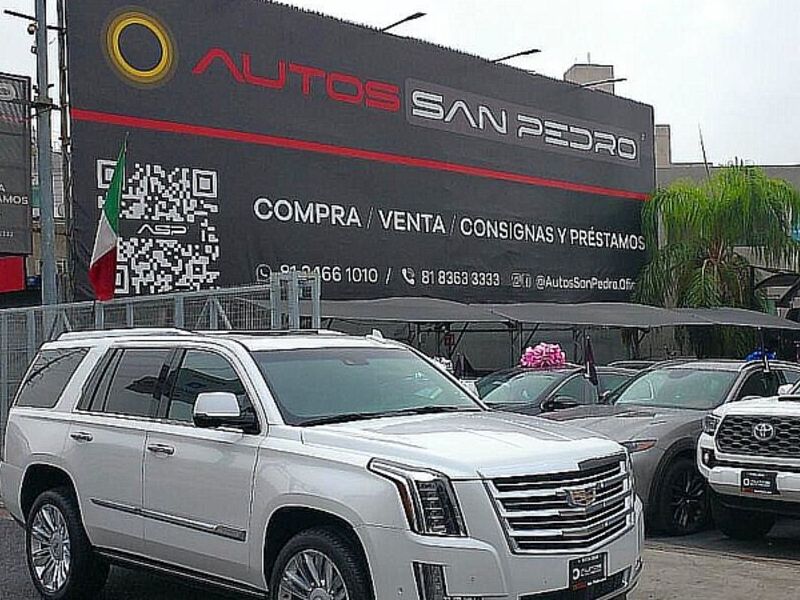 CADILLAC ESCALADE PLATINUM 2019 