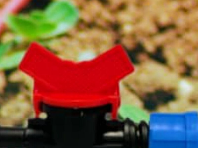 Mini Válvula México