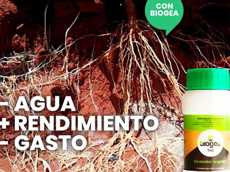 Fertilizante México