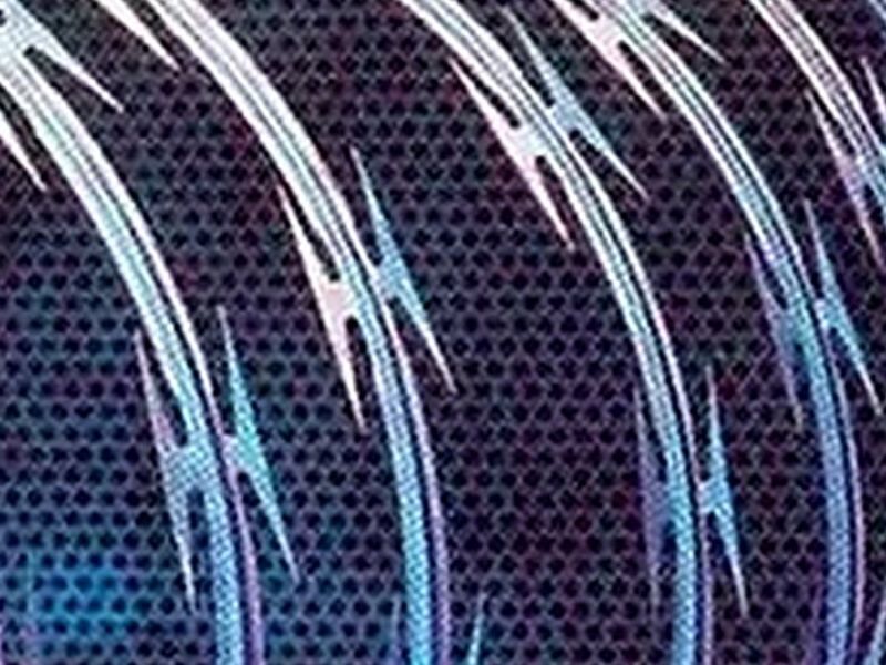  Concertina
