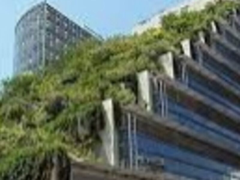 Edificios Verdes México 