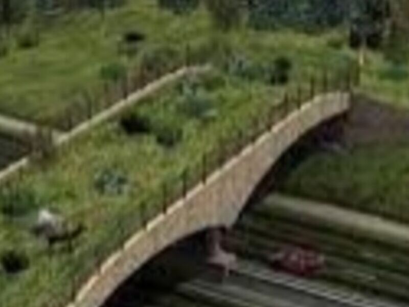 Puentes Ecológicos México 