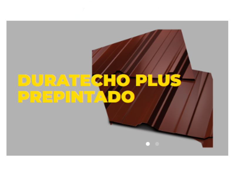 DURATECHO PLUS pintado Mexico