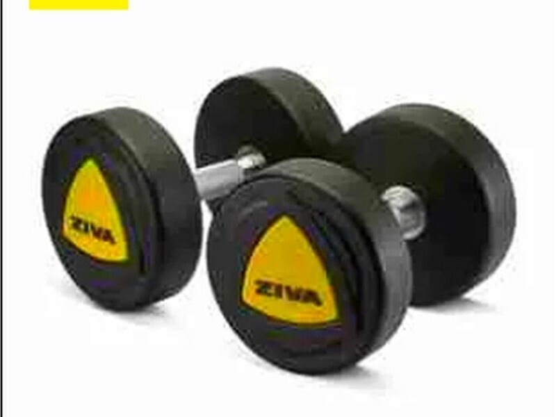 Mancuerna 25kg